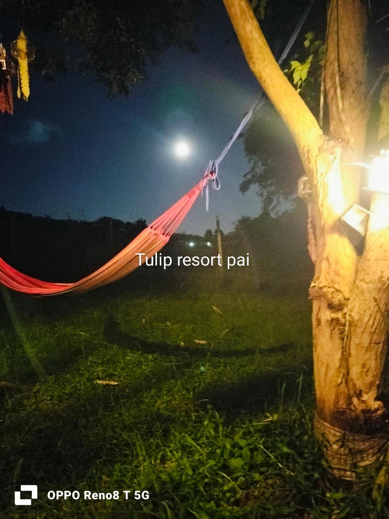 Tulip Resort Pai Habitación foto